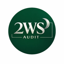 WS Auditor