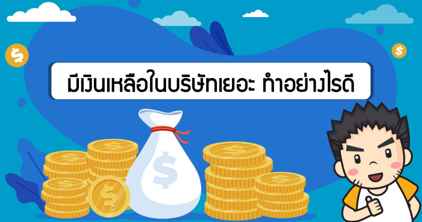 มีเงินเหลือในบริษัทเยอะ ทำอย่างไรดี